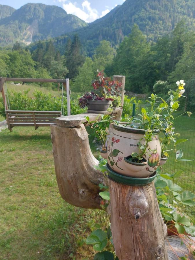 Apartmaji Katrc Soča Eksteriør billede