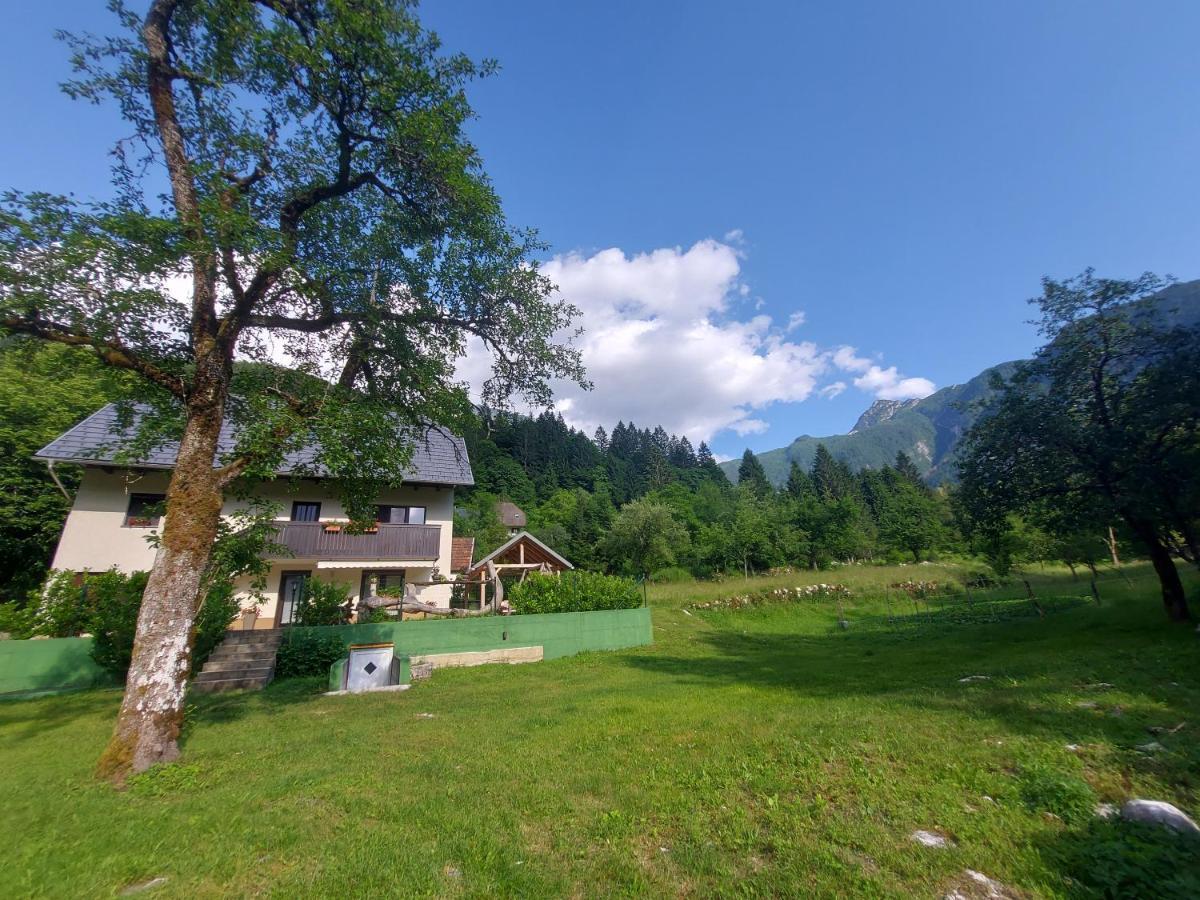 Apartmaji Katrc Soča Eksteriør billede