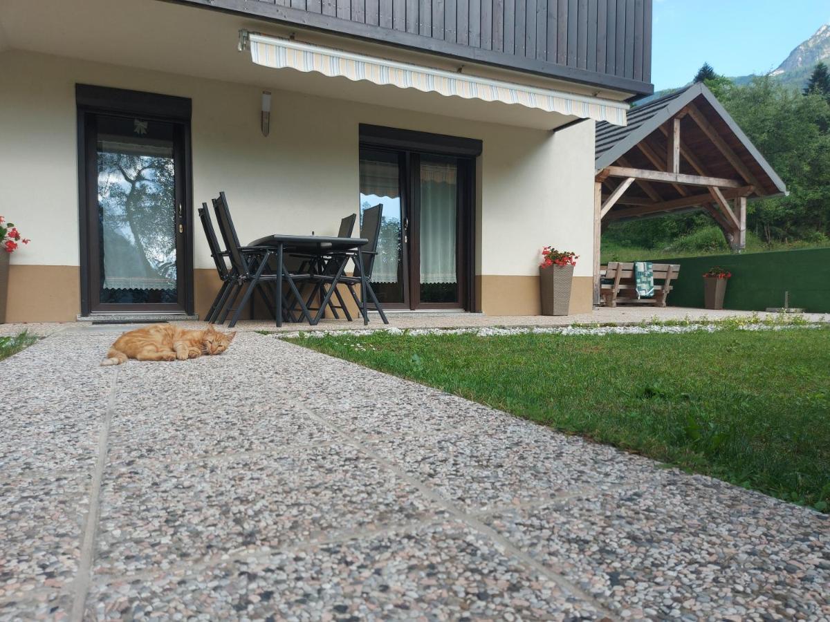 Apartmaji Katrc Soča Eksteriør billede