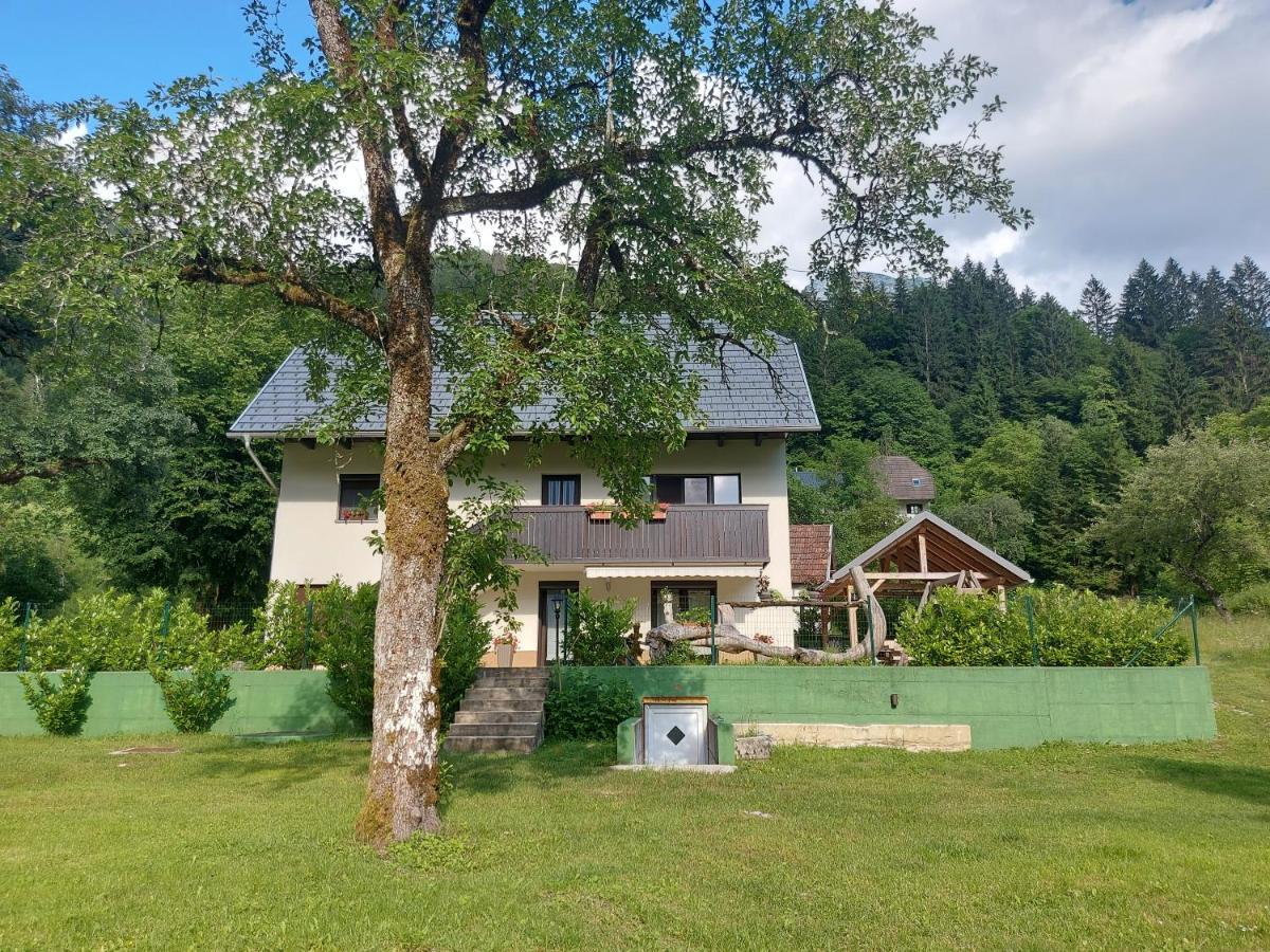 Apartmaji Katrc Soča Eksteriør billede