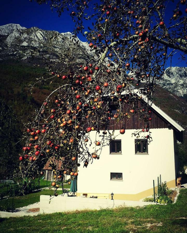 Apartmaji Katrc Soča Eksteriør billede
